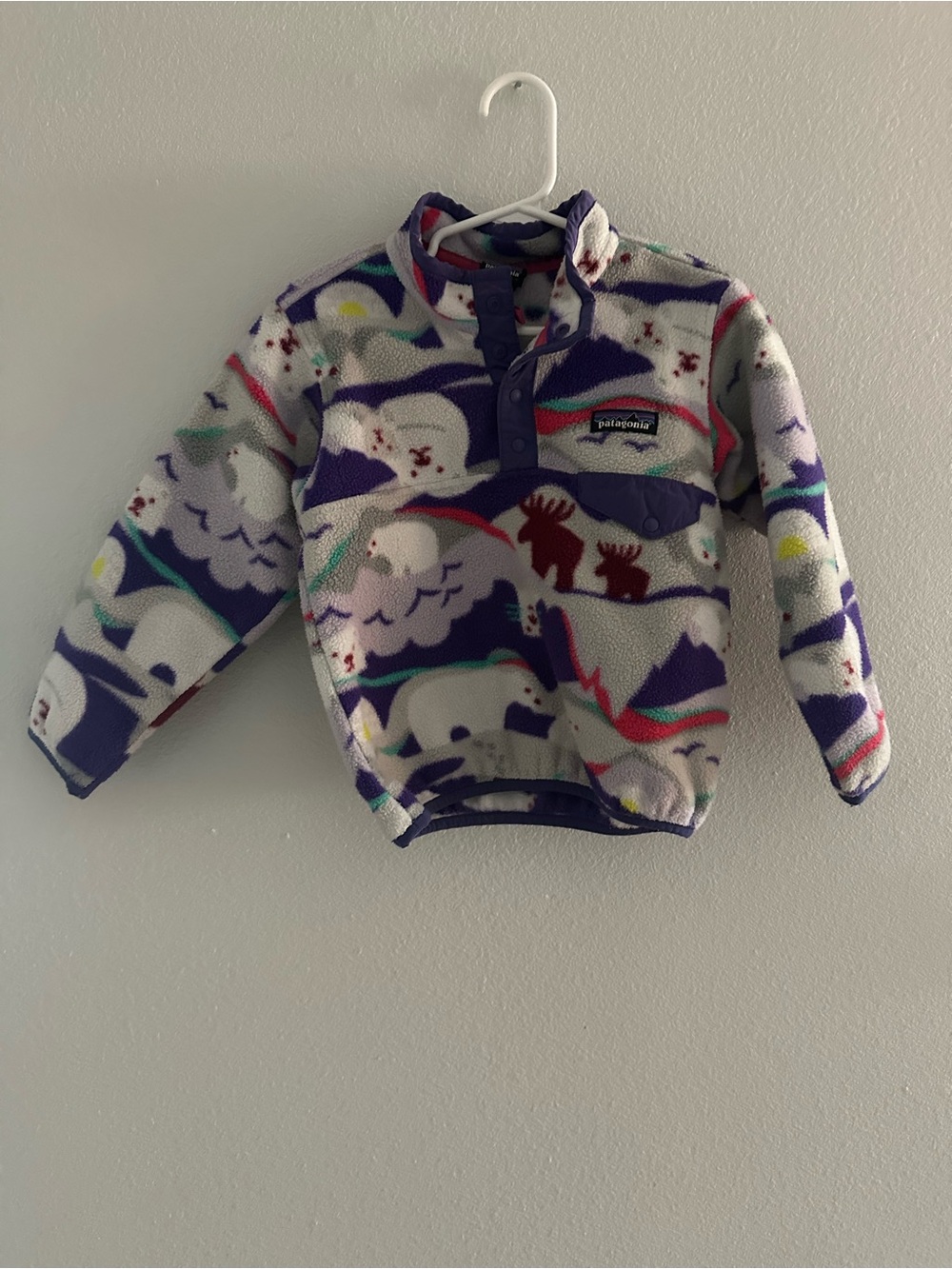 Patagonia Kids Multicolor Polar Print Synchilla Fleece Pullover
